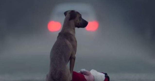 Clipul asta iti va da de gandit: nimeni nu ar trebui sa pateasca asta