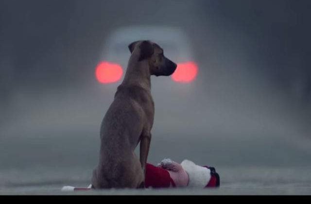 [VIDEO] Nicio fiinta nu ar trebui sa treaca prin asta. Clipul asta te va pune pe ganduri
