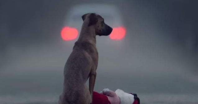 Clipul asta iti va da de gandit: nimeni nu ar trebui sa pateasca asta