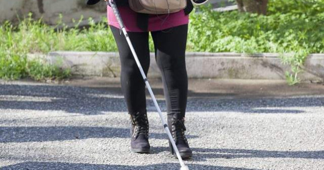 Arad: Peste 200 de marcaje pentru nevazatori, comandate de Primarie