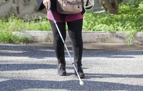 Arad: Peste 200 de marcaje pentru nevazatori, comandate de Primarie