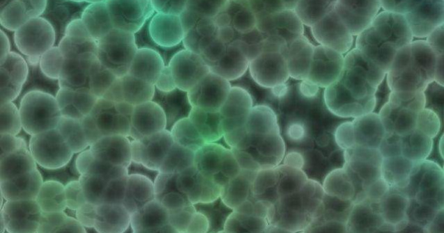 Veriga lipsa dintre cele doua principale forme de viata de pe Terra