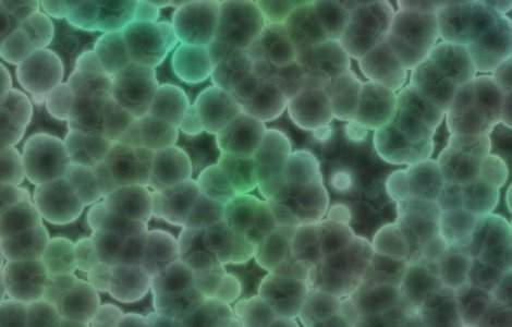 Veriga lipsa dintre cele doua principale forme de viata de pe Terra