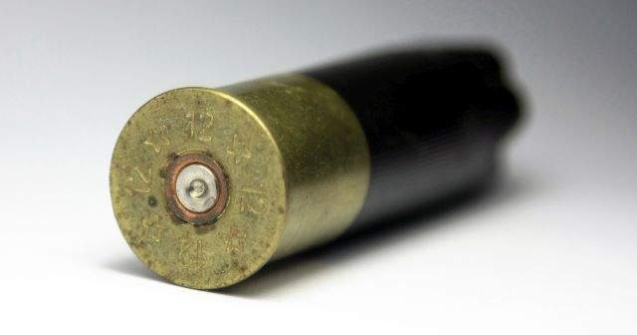 Un britanic,acuzat ca planuia sa-i ucida pe printii Charles si William