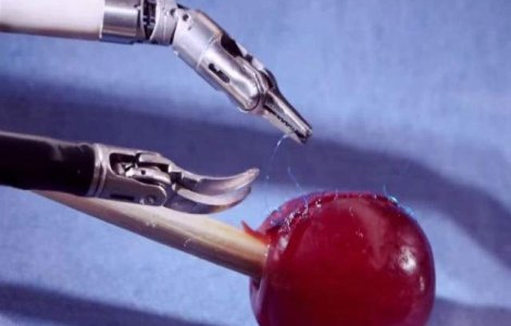 Doua brate robotice minuscule au "operat" un bob de strugure