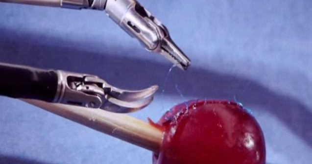 Doua brate robotice minuscule au "operat" un bob de strugure