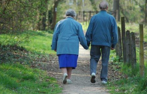  Top  Cum poti preveni aparitia maladiei ALZHEIMER