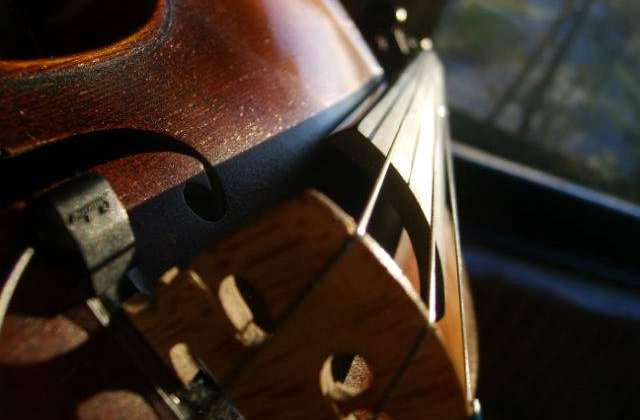 A fost decernat titlul de Cavaler in arte si litere