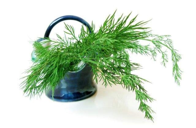 Simbolul vitalitatii! MARARUL, un mod aromat de a-ti proteja sanatatea