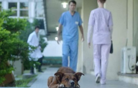 Probabil cea mai tare reclama sociala. Fiti atenti pana la final