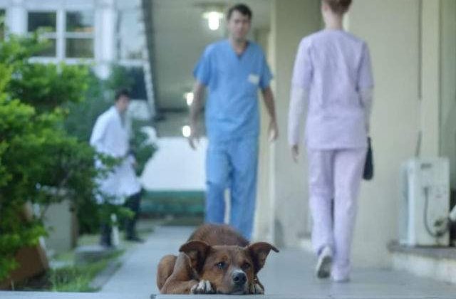 [VIDEO] Probabil cea mai tare reclama sociala. Fiti atenti pana la final