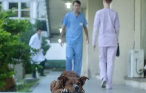 Probabil cea mai tare reclama sociala. Fiti atenti pana la final