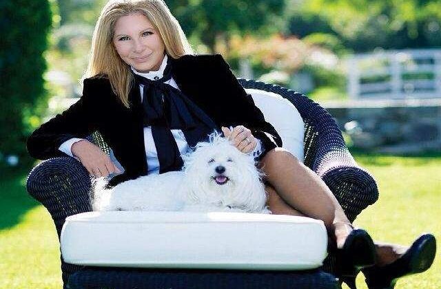 Barbra Streisand va lansa un volum de memorii in 2017