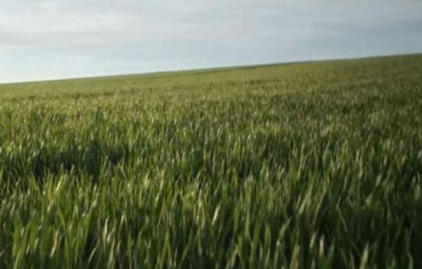  Video  Ia o pauza si urmareste cel mai relaxant film din lume