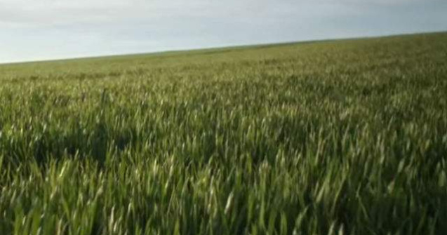  Video  Ia o pauza si urmareste cel mai relaxant film din lume