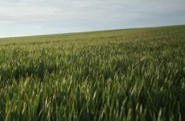 [VIDEO] Ia o pauza si urmareste cel mai relaxant film din lume