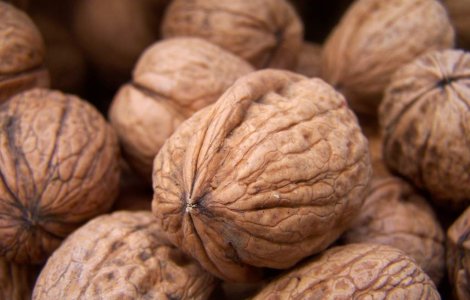  Video  Cand se consuma nucile si seminte pentru a combate obezitatea