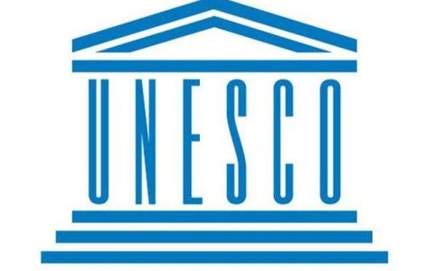 Cioroianu a primit aviz favorabil in comisii pentru postul delegat permanent pe langa UNESCO