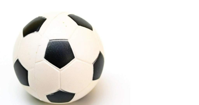 Echipa Steaua a castigat campionatul Romaniei