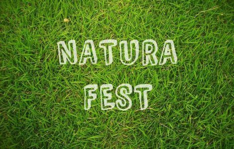 NATURA Fest: Ateliere de pictura pe sticla si pe borcane