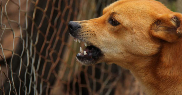 Dosarul Ionut Anghel: 3 ani de inchisoare pentru Constantin Ciorascu