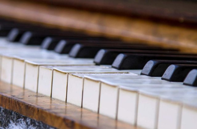 Suceava: Sute de concurenti din Romania, Ucraina si Republica Moldova la concursul "Lira de Aur"