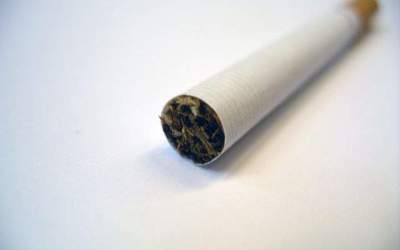 Mari producatori de tutun,...