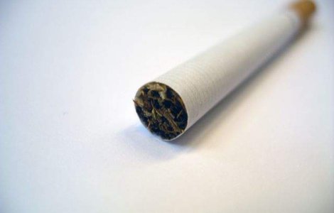 Mari producatori de tutun, condamnati la plata unor despagubiri de 12,5 miliarde dolari in Canada