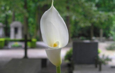 Actrita Mihaela Juvara a decedat, la varsta de 84 de ani