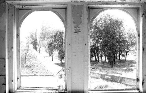 ONG: Prejudecatile, temerile si miturile impiedica multi copii adoptabili sa creasca intr-o familie