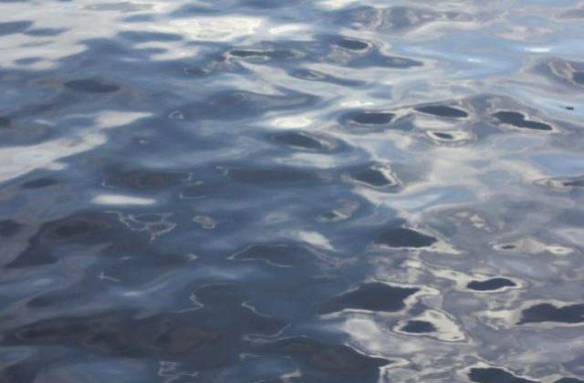 Poluare cu hidrocarburi in apele Canalului Poarta Alba - Midia Navodari