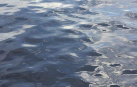 Poluare cu hidrocarburi in apele Canalului Poarta Alba - Midia Navodari