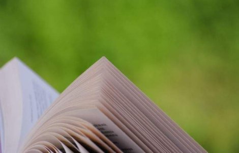 Prima carte scrisa de Iohannis, "Pas cu pas", tradusa in limba maghiara