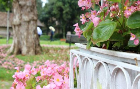  Top  Temperaturi de peste 30 de grade in urmatoarea perioada