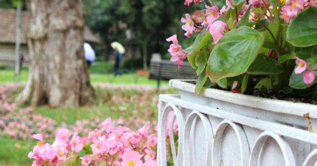  Top  Temperaturi de peste 30 de grade in urmatoarea perioada