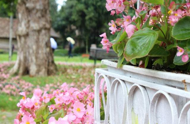 Prognoza meteo: Temperaturi de peste 30 de grade in urmatoarea perioada