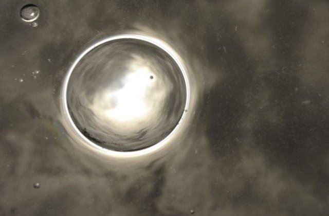 NASA: Apa existenta pe Luna poate fi transformata in stare lichida, pentru a fi consumata