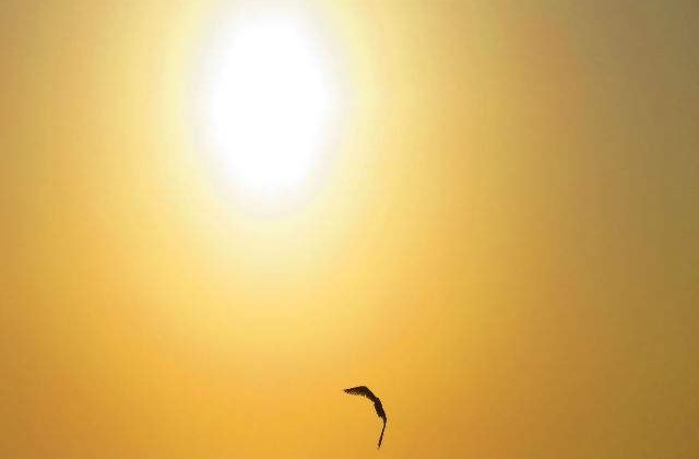 Avertizare meteo: CANICULA la sfarsitul saptamanii