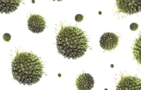  Top  Nu le mai crede! MITURI despre cancer