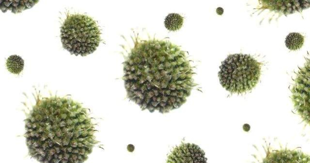  Top  Nu le mai crede! MITURI despre cancer