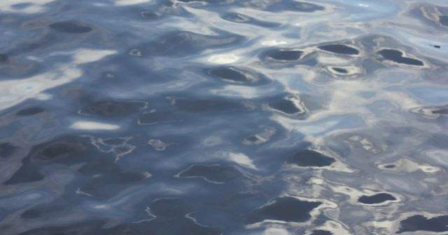 Un bebelus de 9 luni a cazut in lacul Herastrau