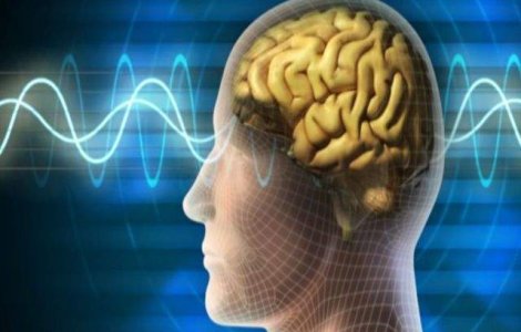  Top  Sigur nu stiai. Ce iti poate AFECTA coeficientul de inteligenta