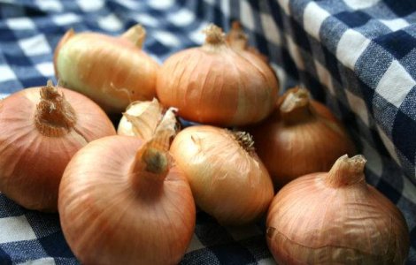  Top  O ai mereu in bucatarie! Ce NU STIAI ca poti face cu banala CEAPA