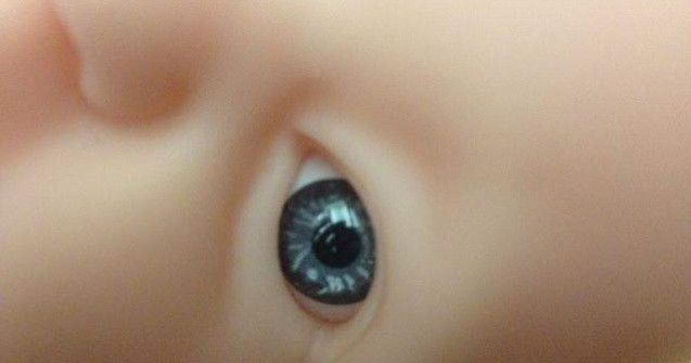 Papusi gonflabile inzestrate cu inteligenta artificiala ar putea fi lansate pe piata in anul 2017