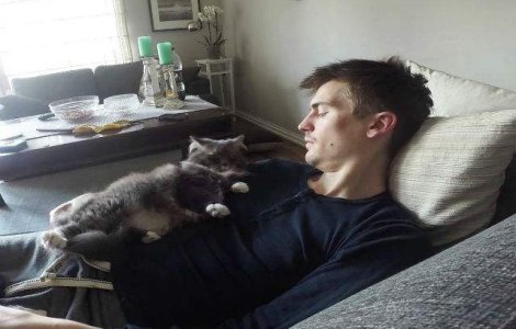  Video  De fiecare data cand vrea sa se joace, pisica lui face asta