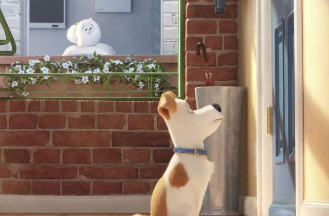 [VIDEO] Cel mai simpatic trailer: Vietile secrete ale animalelor