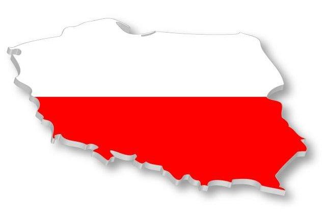 Pentru a le oferi asigurari aliatilor din Est, noul "varf de lance" al NATO se antreneaza in Polonia