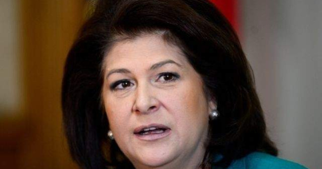 Plumb: Mesajul ministrului austriac legat de alocatiile acordate copiilor romani, incorect juridic