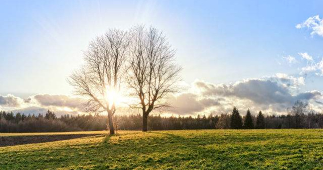 Solstitiul de vara 2015 - 21 iunie, debutul verii astronomice