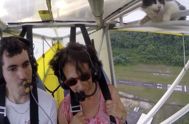 [VIDEO] A decolat cu o pisica ascunsa pe aripa avionului